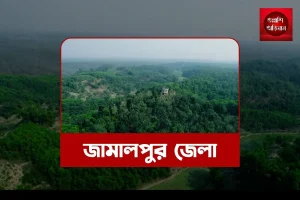 জামালপুর জেলা