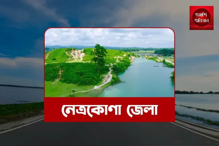 নেত্রকোণা