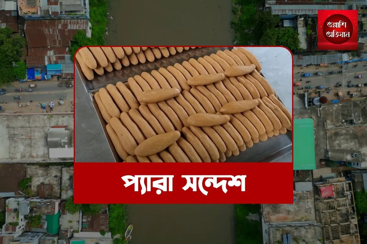নওগাঁর ঐতিহ্যবাহী মিষ্টি, নওগাঁর প্যারা সন্দেশ, নওগাঁর বিখ্যাত খাবার, নওগাঁর বিখ্যাত প্যারাসন্দেশ, নওগাঁর বিশেষ মিষ্টি