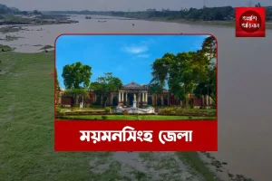 ময়মনসিংহ জেলা