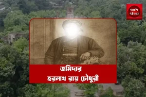 জমিদার হরনাথ রায় চৌধুরী,দুবলহাটি জমিদার বাড়ি,জমিদার বাড়ি,নওগাঁ জমিদার বাড়ি,নওগাঁ দুবলহাটি জমিদার বাড়ি