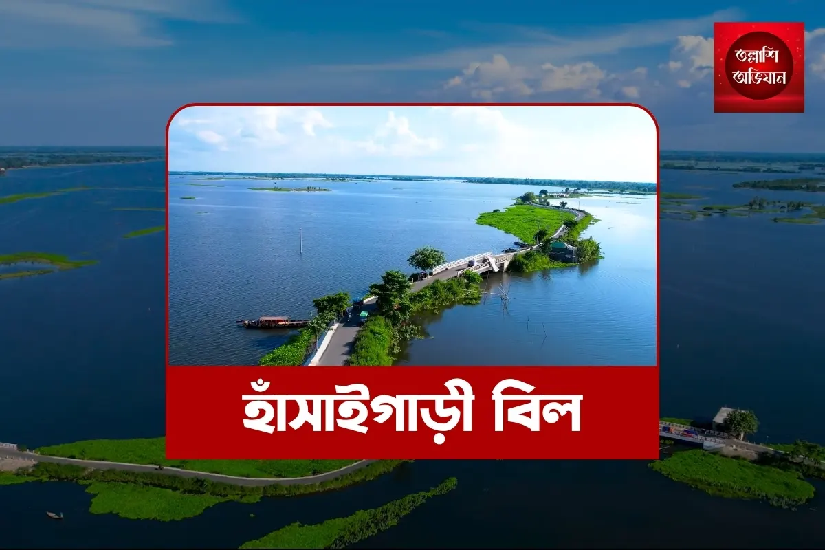 হাঁসাইগাড়ী বিল,হাঁসাইগাড়ী নওগাঁ,নওগাঁরবিল,হাঁসাইগাড়ী বিল ভ্রমণ